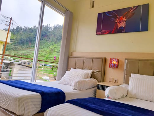 Homestay DiengCool 1 4