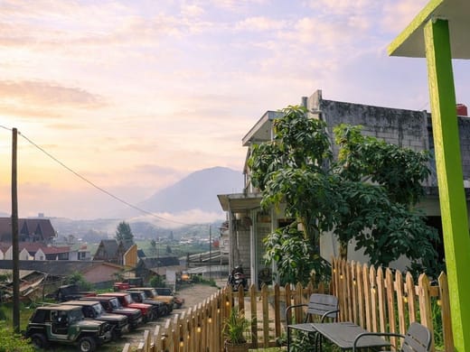homestay dieng dc 4 2