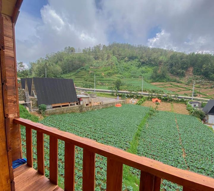 Shiva Cabin Dieng 2