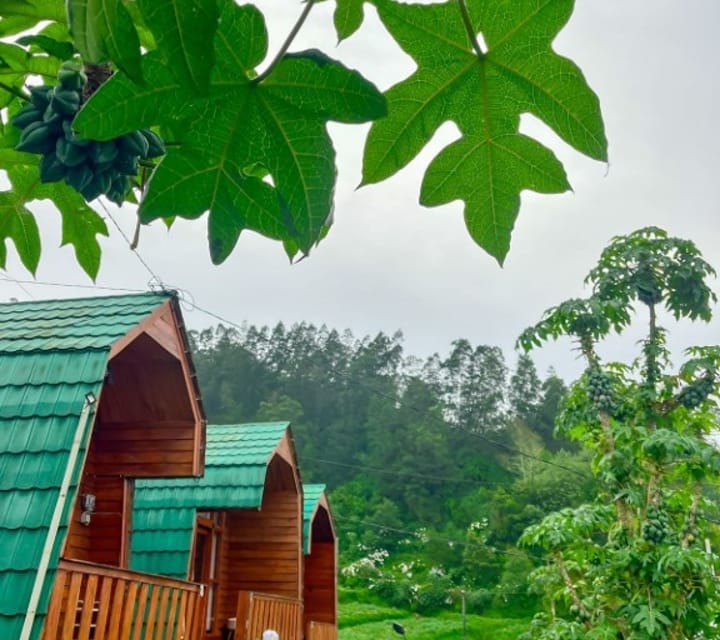 Cabin Ira Dieng