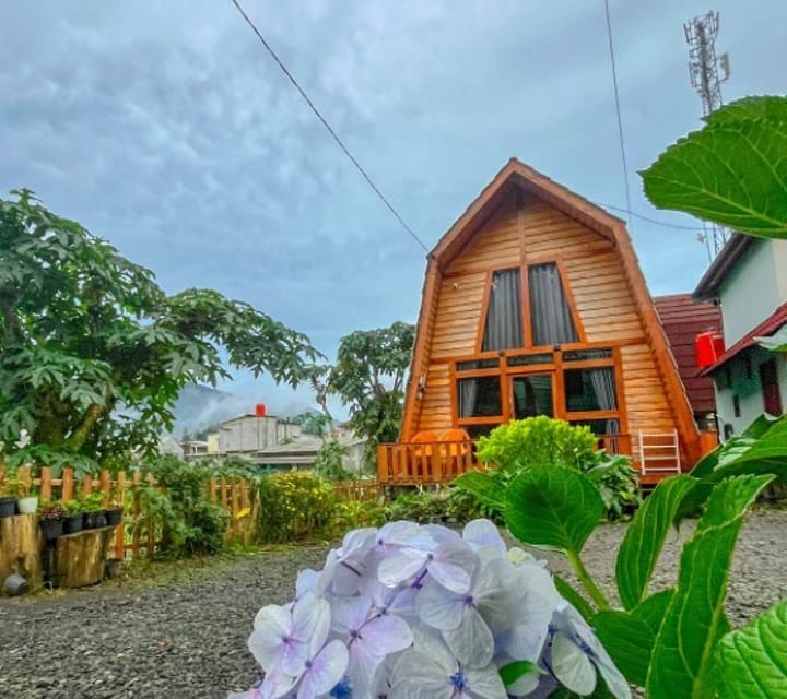 Cabin ira 2