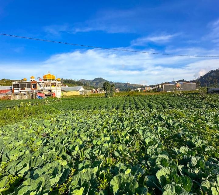 Homestay Nyare Dieng