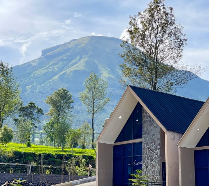 Napoleon Luxury ~ Villa Dekat kebun teh tambi 